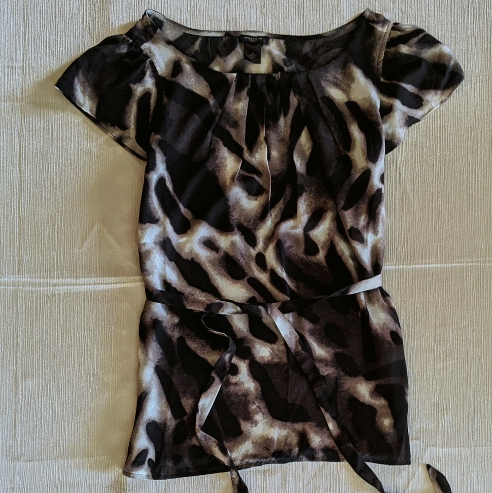 Ann Taylor Blouse